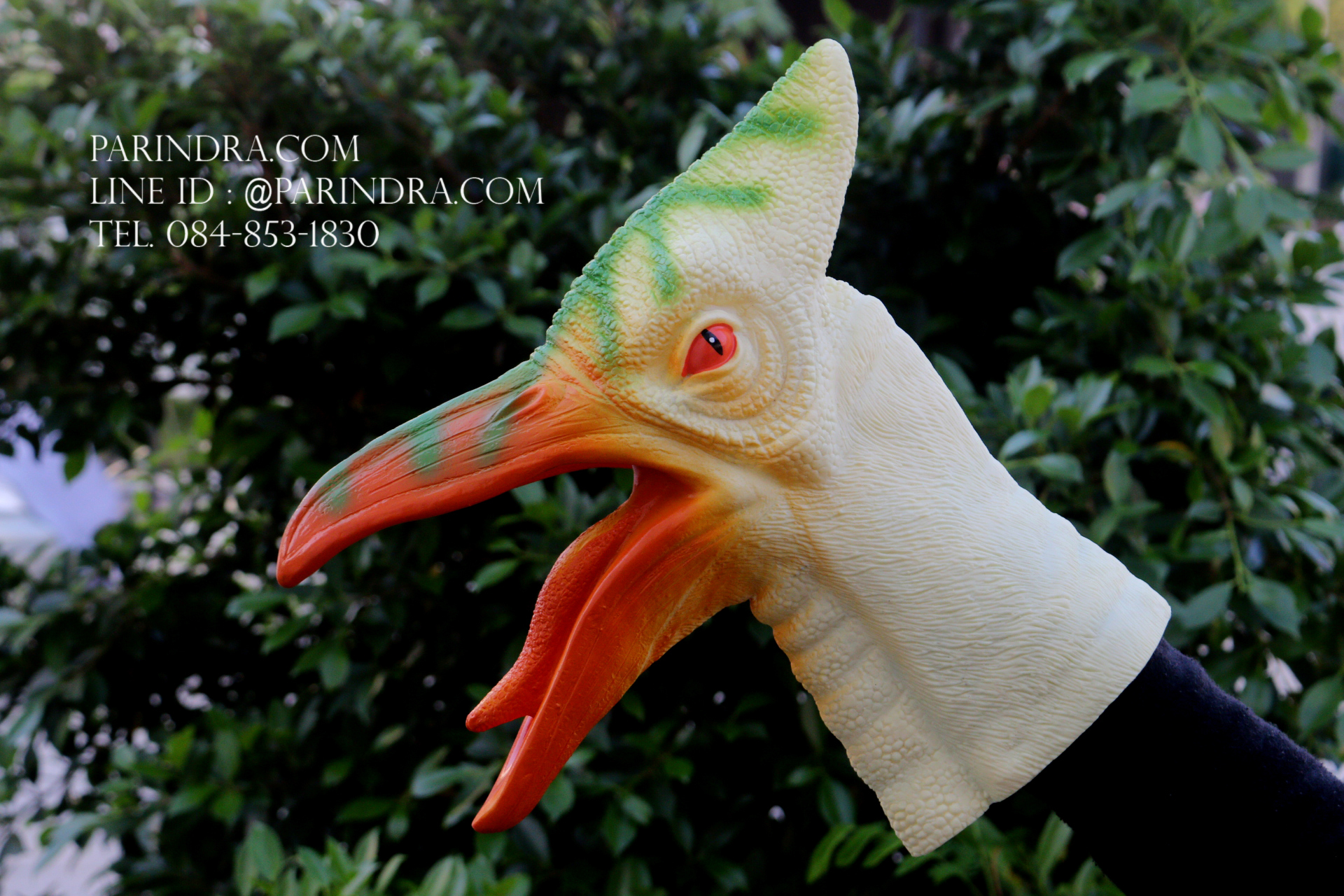 โมเดล ถุงมือยาง หัวนกไดโนเสาร์