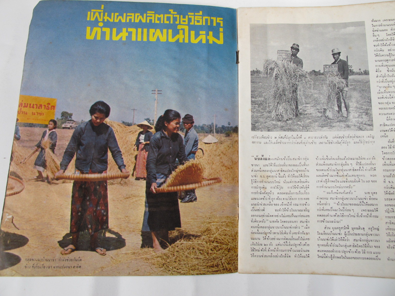 นิตยสาร "เสรีภาพ" ฉบับที่ 113