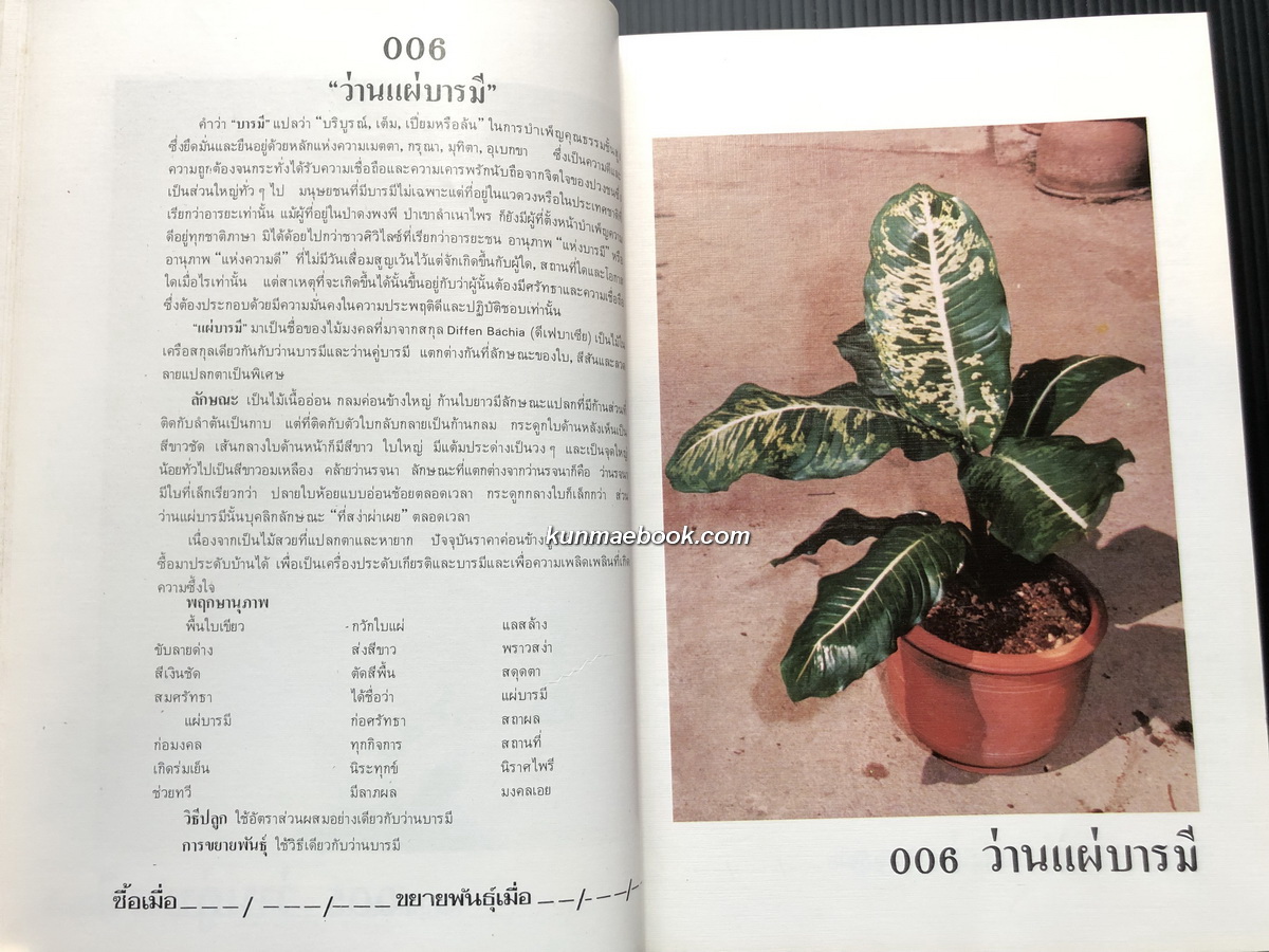 คัมภีร์ว่านและไม้มงคล (ฉบับสมบูรณ์) ผลงานของ สนั่น ทวีสมบัติ