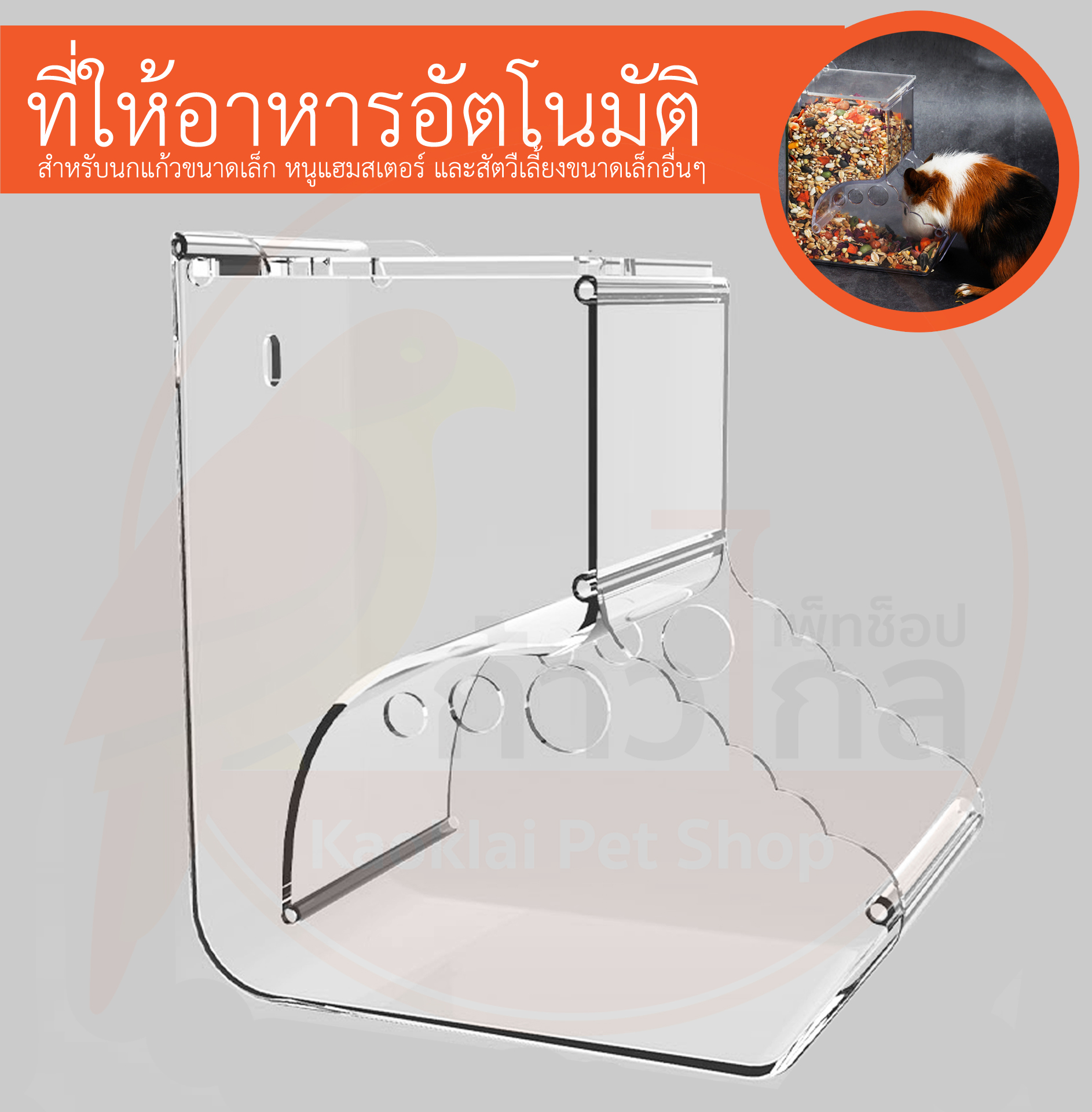 [พลาสติกใส] ที่ให้อาหารอัตโนมัติ สำหรับสัตว์เลี้ยงขนาดเล็ก ที่ให้อาหารหนู ที่ให้อาหารนก