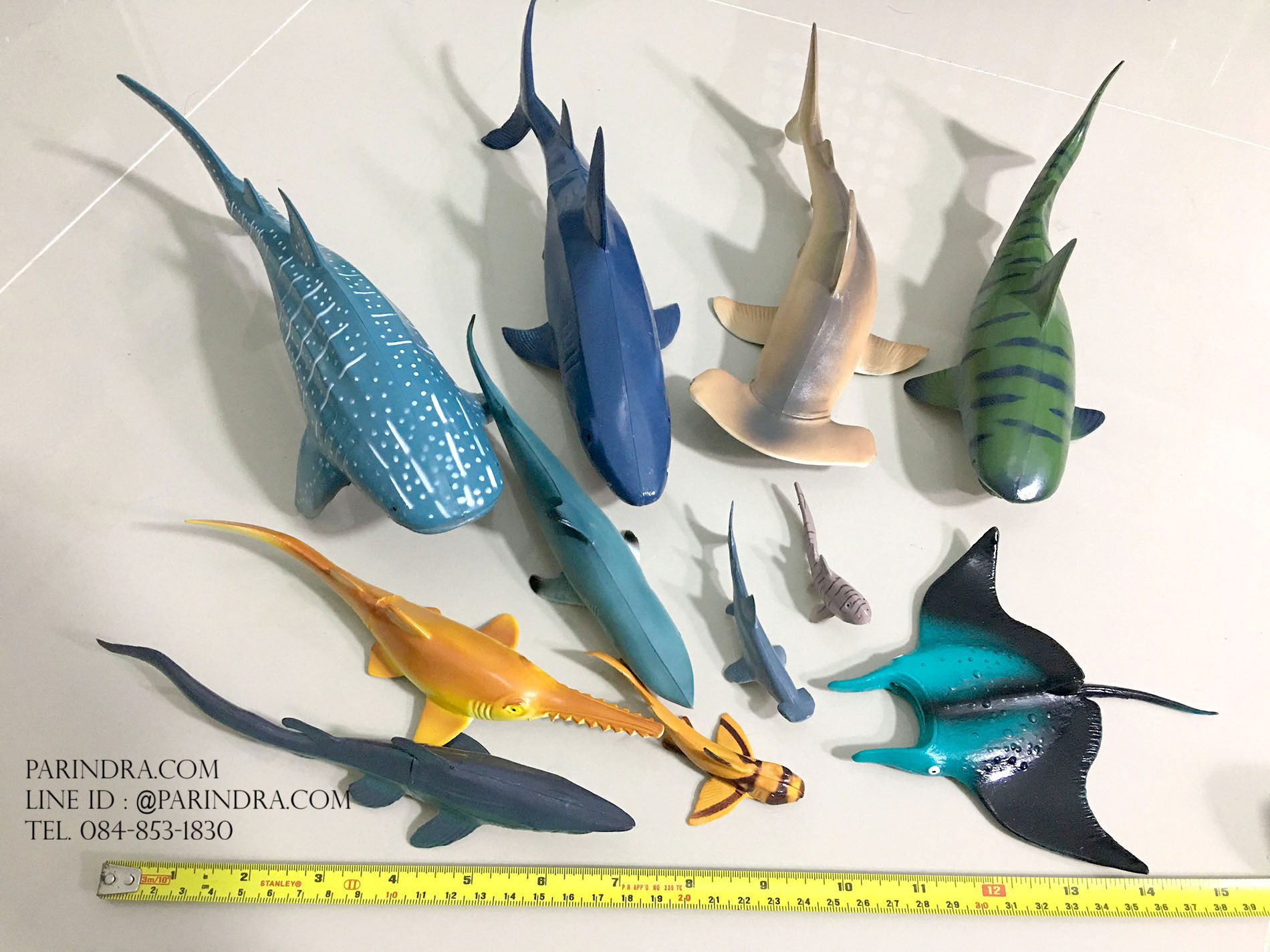 โมเดลสัตว์ทะเล ชุด Ocean World กลุ่ม ฉลาม หลากหลายสายพันธุ์