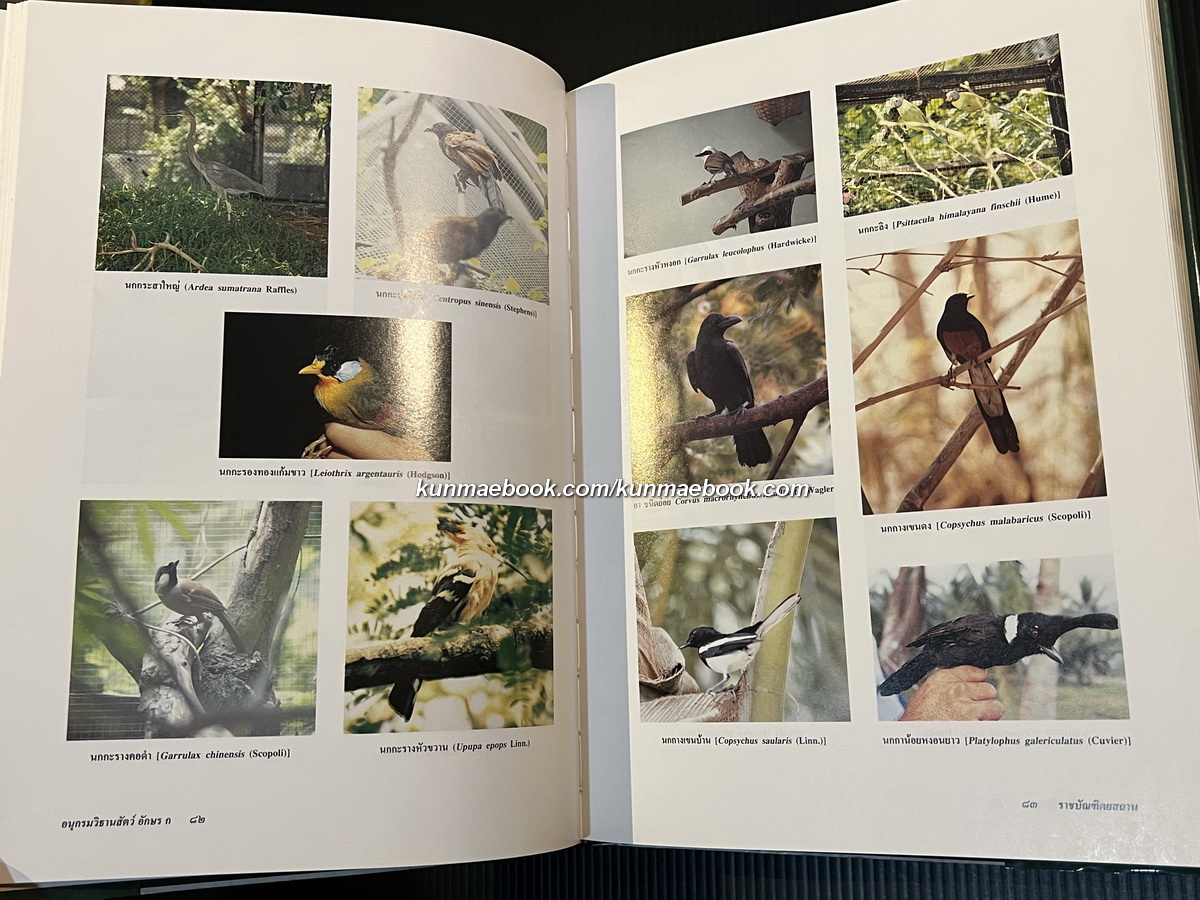 อนุกรมวิธานสัตว อักษร ก ฉบับราชบัณฑิตยสถาน