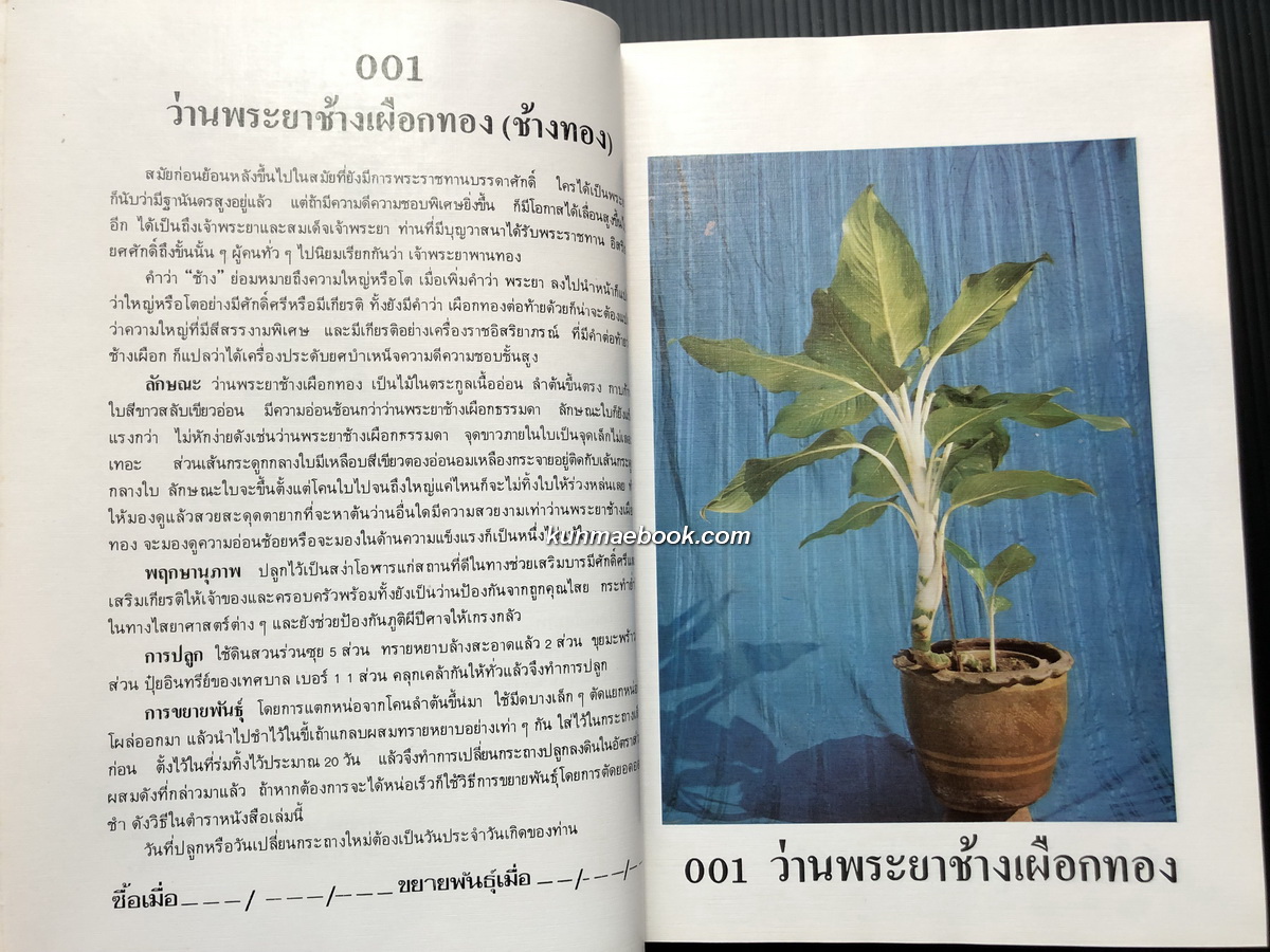 คัมภีร์ว่านและไม้มงคล (ฉบับสมบูรณ์) ผลงานของ สนั่น ทวีสมบัติ