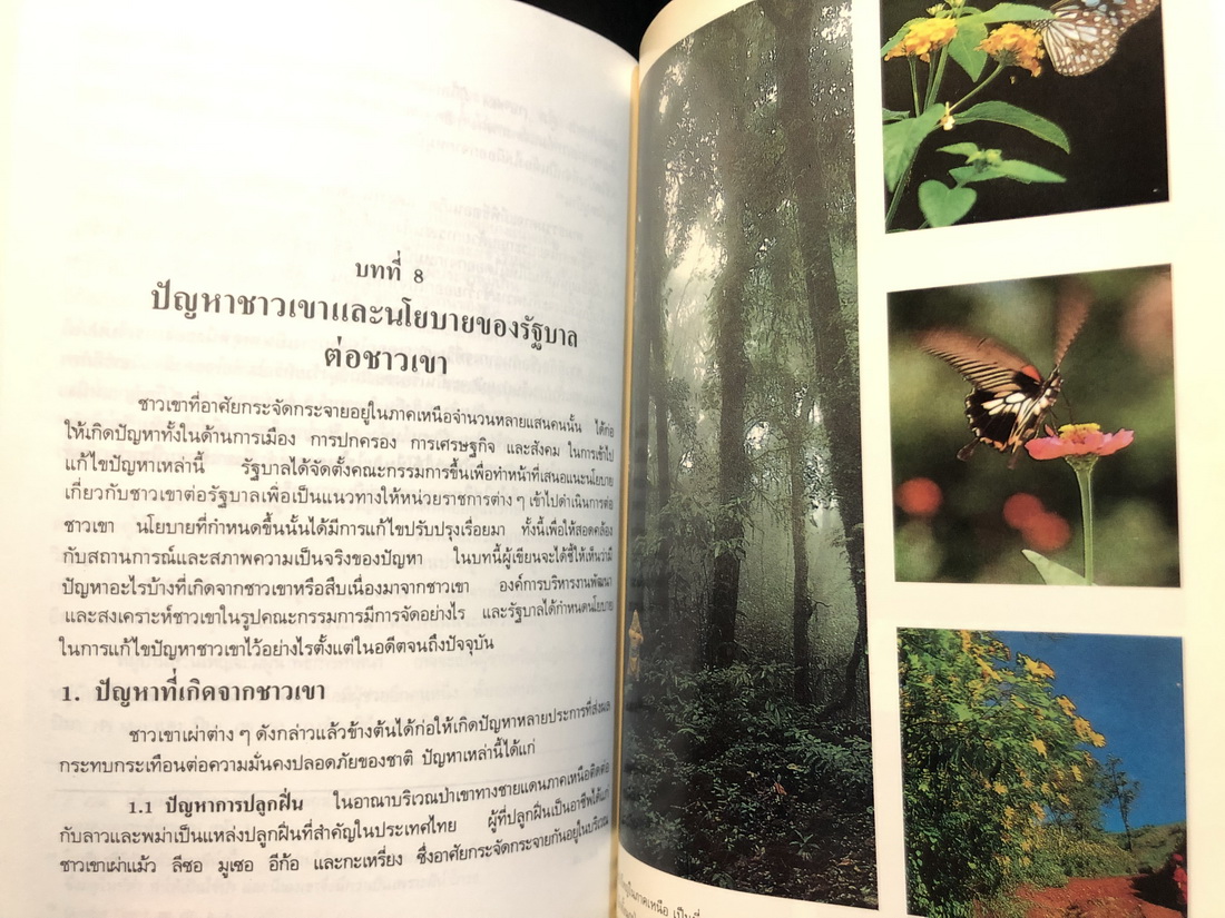 ชาวเขา ผลงานของ ขจัดภัย บุรุษพัฒน์ ร.บ.(เกียรตินิยม) ร.ม.