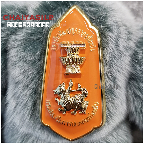 เข็มวิทยะฐานะ สถาบันพัฒนาบุคลากรท้องถิ่น (สพบ.)