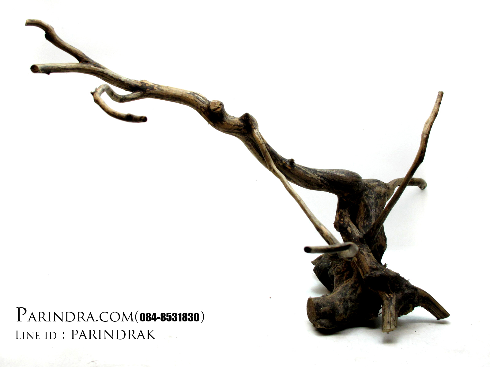 ขอนไม้ตกแต่งตู้ปลาหรือใช้เลี้ยงสัตว์เลื้อยคลาน 002