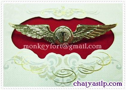 เครื่องหมาย ปีกทหารเรือ