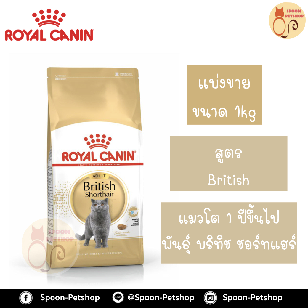 Royal Canin อาหารแมว โรยัล คานิน British Shorthair 34 แบ่งขาย 1กิโล ใส่ถุง ซิปล็อค สำหรับ แมวโต สายพันธุ์ บริติช ชอร์ทแฮร์
