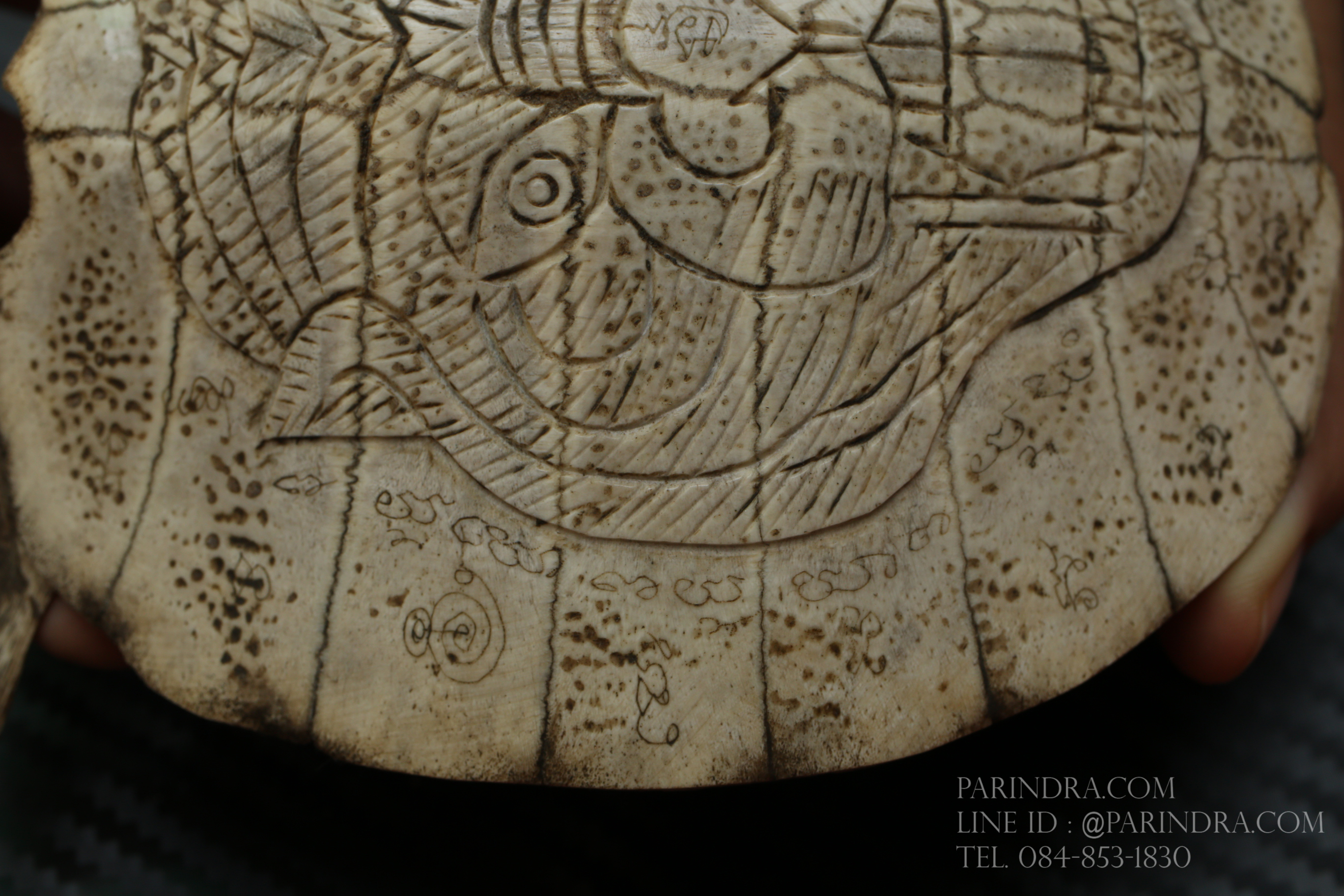 กระดองตะพาบน้ำ แกะสลัก จานอักขระ งานเก่าโบราณ น่าสะสม