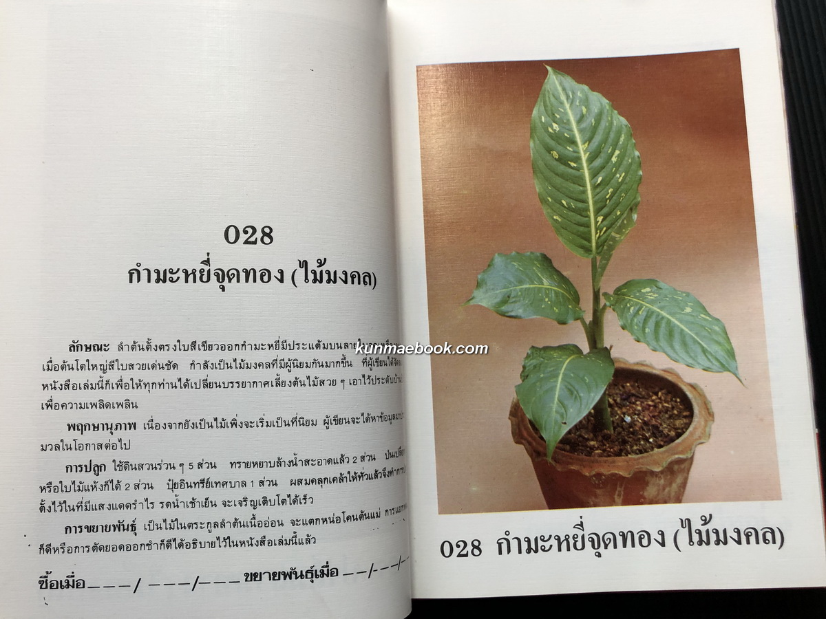 คัมภีร์ว่านและไม้มงคล (ฉบับสมบูรณ์) ผลงานของ สนั่น ทวีสมบัติ