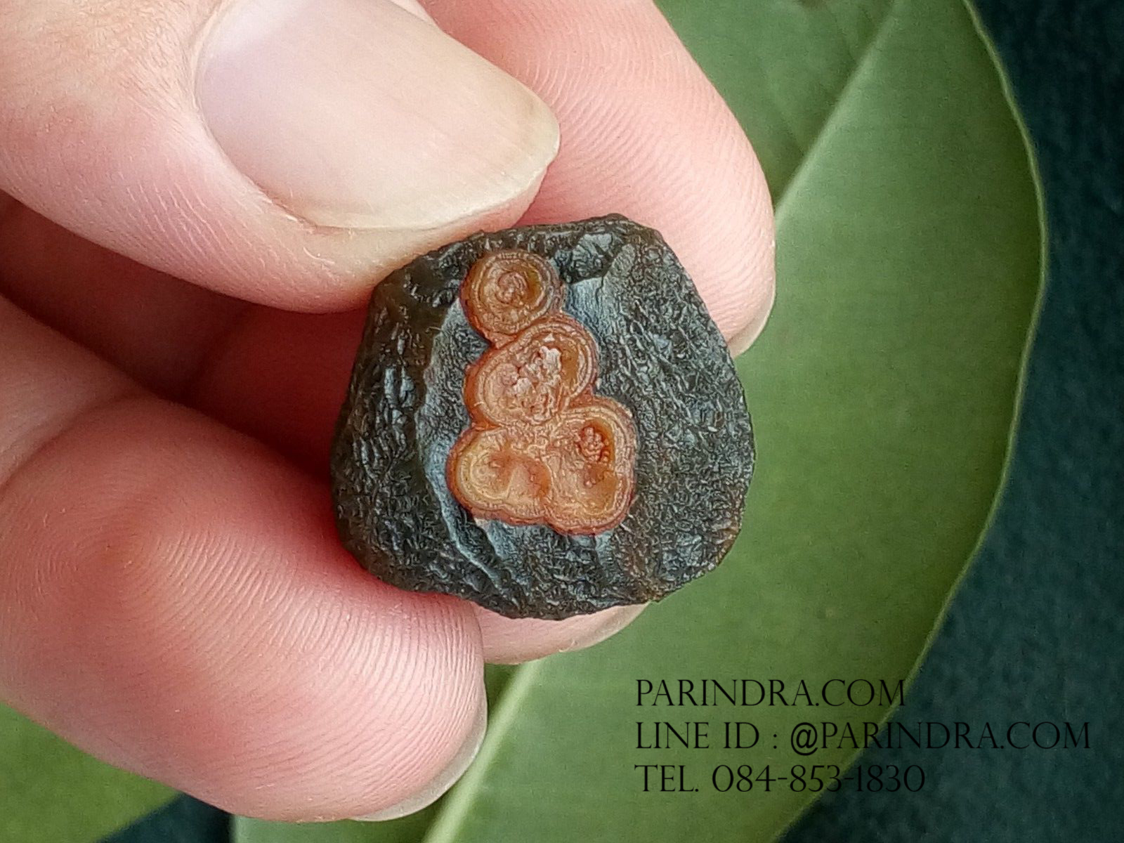 หินรูปทรงประหลาดจากทะเลทรายโกบี GOBI Eye Stone #GOBI004