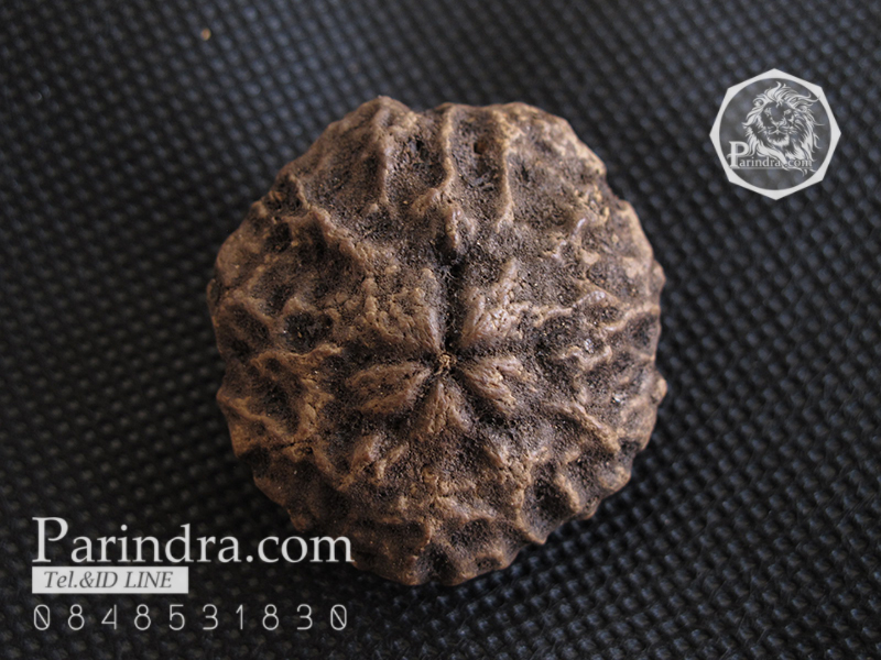 ว่านพระเจ้า 5 พระองค์ คัดสวยพิเศษ PS2