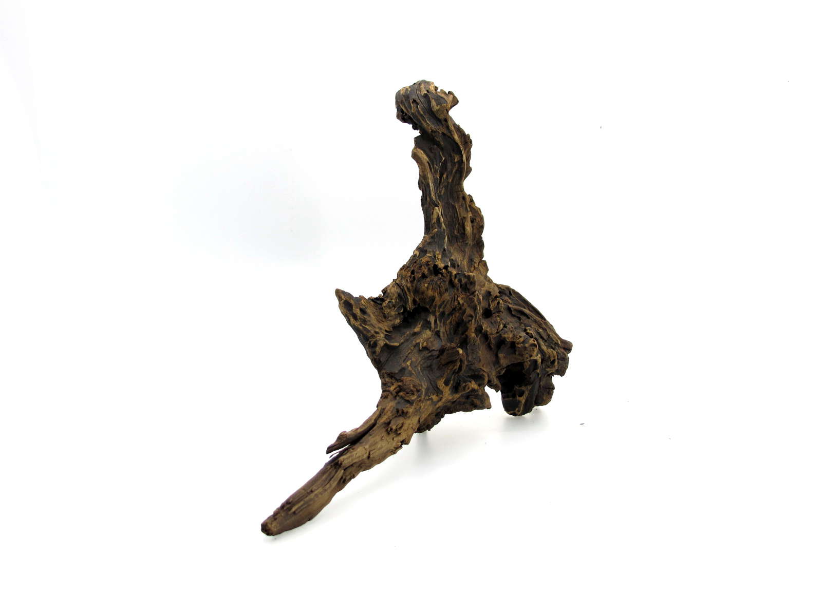 ขอนไม้ตกแต่งตู้ปลาหรือใช้เลี้ยงสัตว์เลื้อยคลาน 056