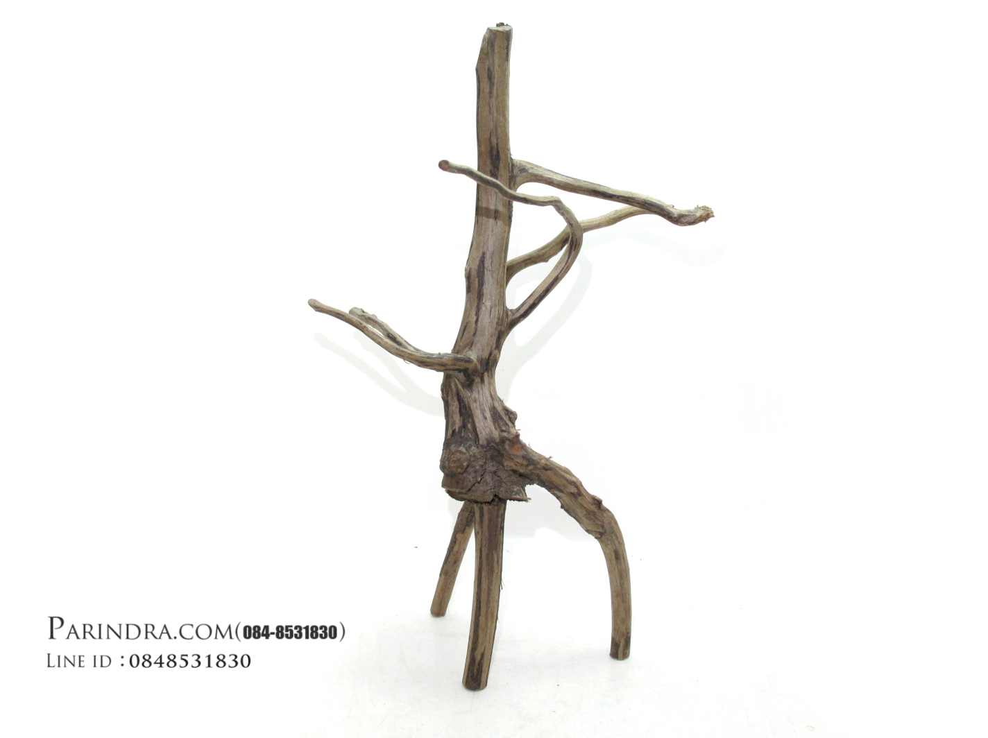 ขอนไม้ตกแต่งตู้ปลาหรือใช้เลี้ยงสัตว์เลื้อยคลาน 015