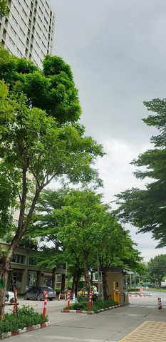 ให้เช่าคอนโด ลุมพินี ทาวน์ รามอินทรา-นวมินทร์ 23 ตรม.เฟอร์ครบ เครื่องใช้ไฟฟ้าครบ พร้อมอยู่