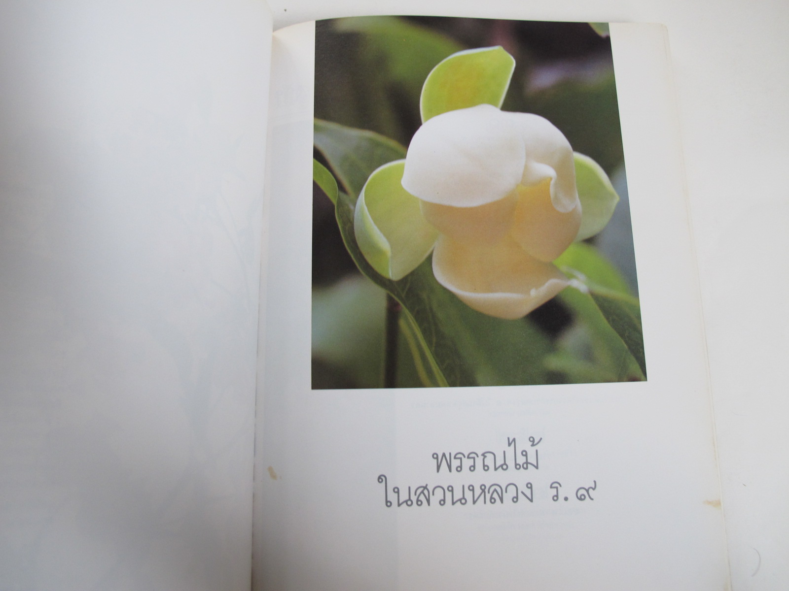 หนังสือพรรณไม้ในสวนหลวง ร.๙ เล่มที่ 1