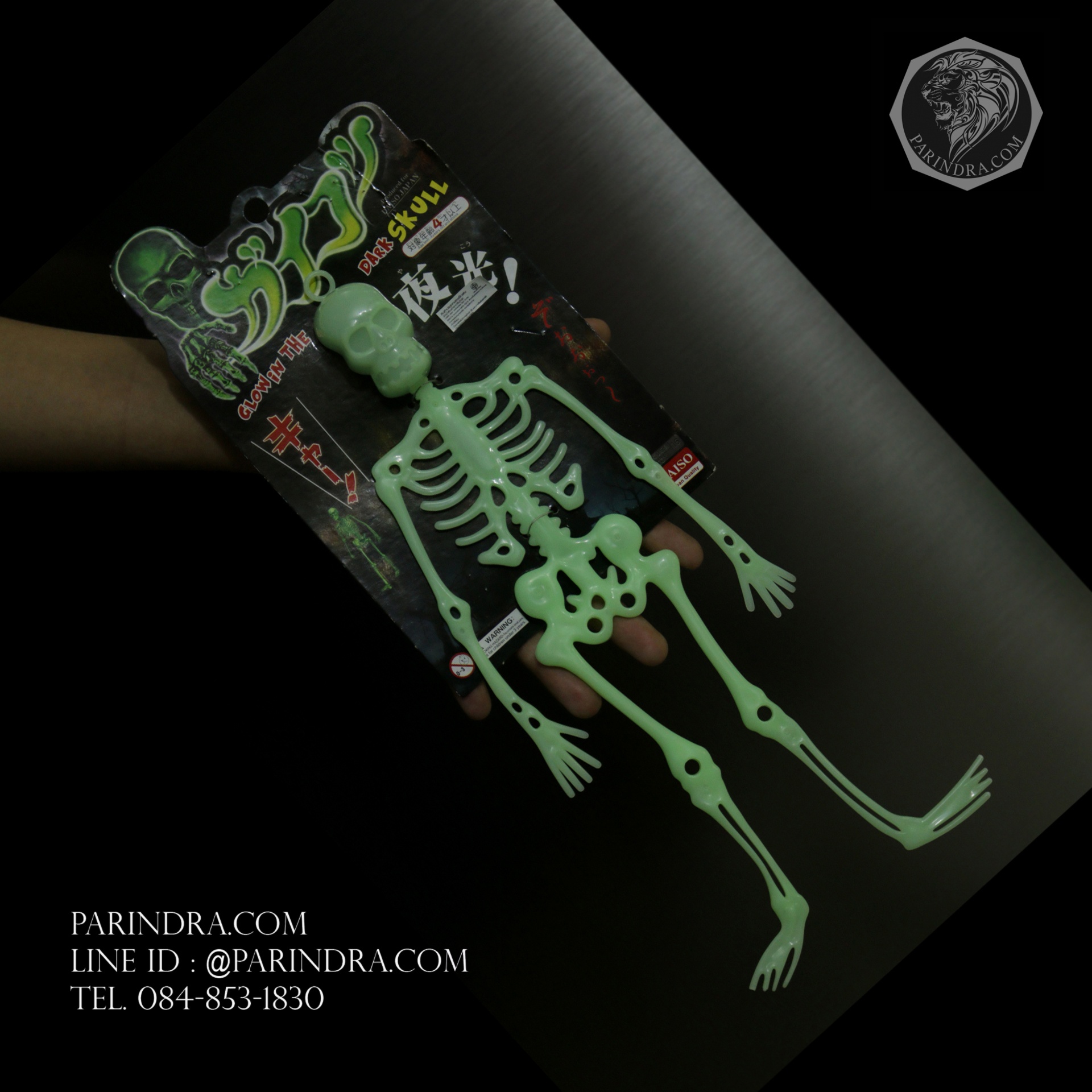 โมเดลโครงกระดูกเรืองแสง Glow in the Dark Skeleton (น้าผีเรืองแสง)