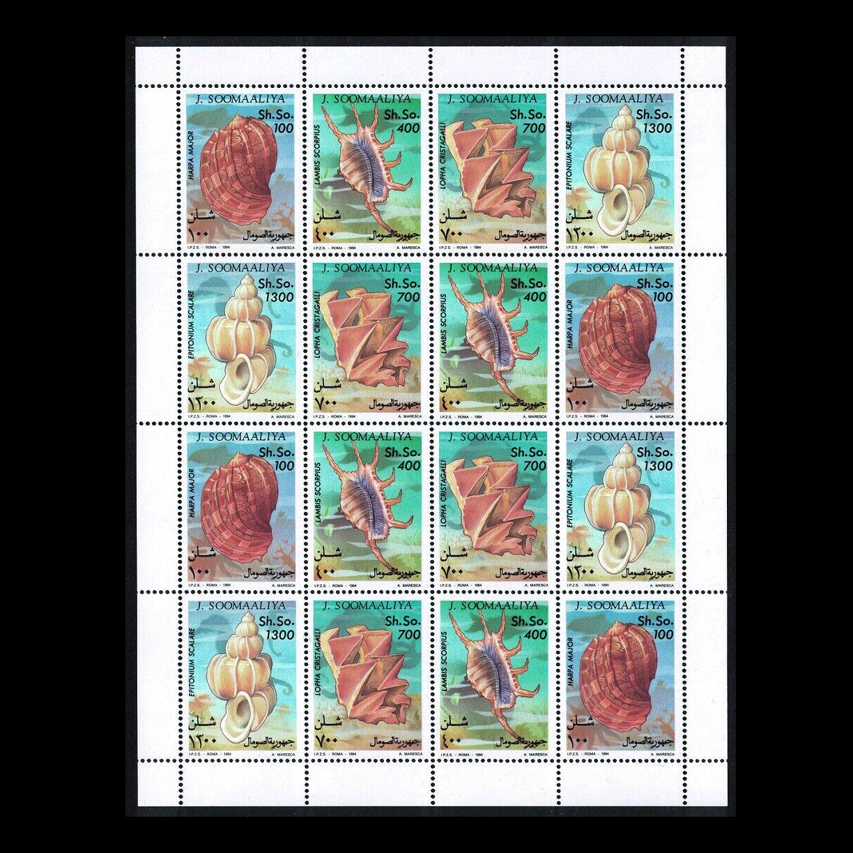 แสตมป์โซมาเลีย ชุด MARINE SEASHELL หอยทะเลสวยงาม ปี 1994 - SOMALIA