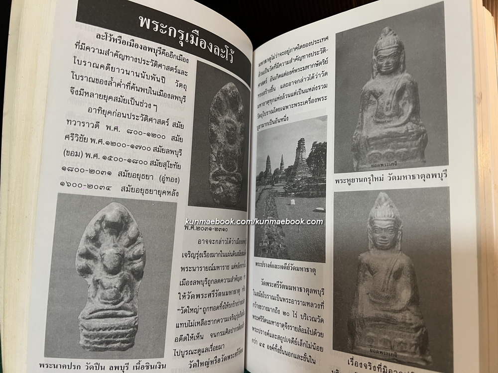 ยอดพระเกจิ รวมเล่มมาตรฐานฉบับ พระยอดนิยม ดิน-ชิน-ผง-เหรียญ * ตำหนิ