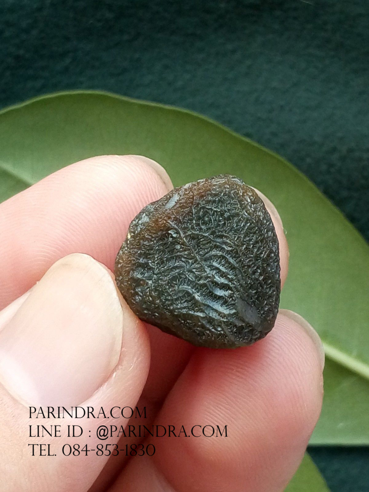 หินรูปทรงประหลาดจากทะเลทรายโกบี GOBI Eye Stone #GOBI004