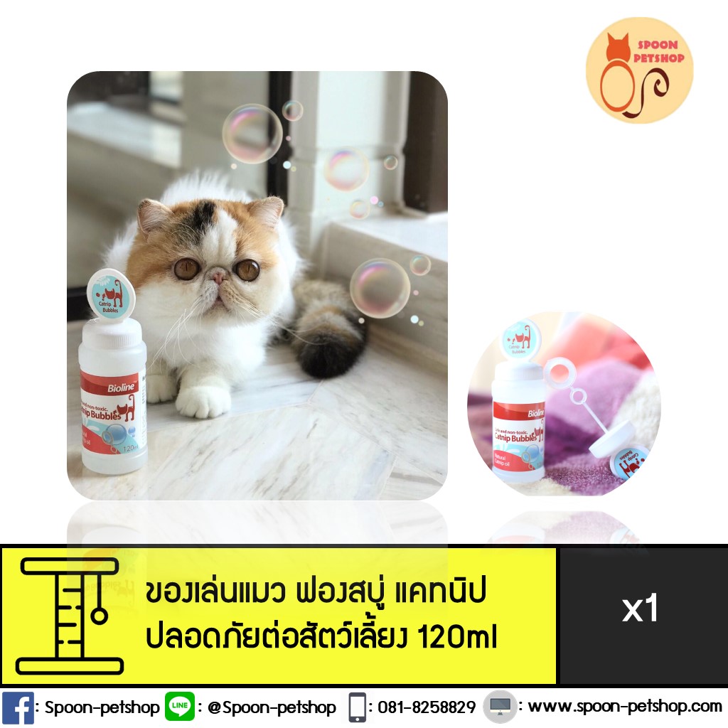 Bioline แคทนิป บับเบิ้ล ฟองสบู่ แคทนิป ปลอดภัยต่อสัตว์เลี้ยง 120ml
