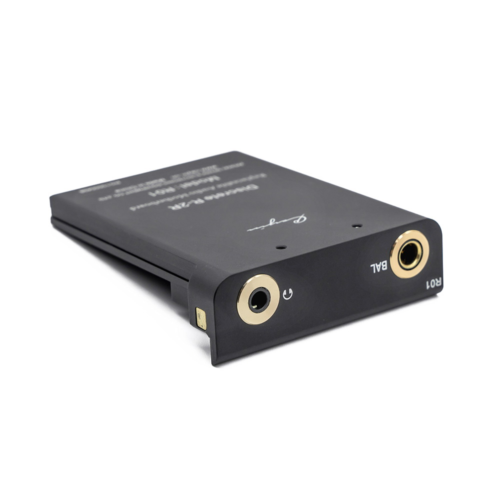 ขาย Cayin R01 ภาคแอมป์ module R01 ของ Cayin n6ii