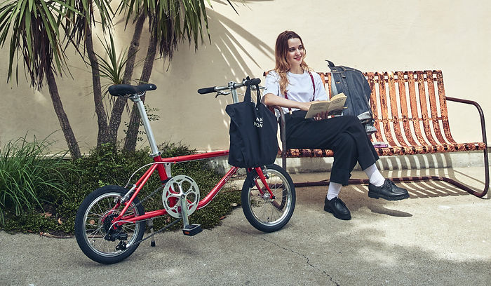 DAHON D-Zero | Semi-Folding Bike with Classic Design and Lightweight