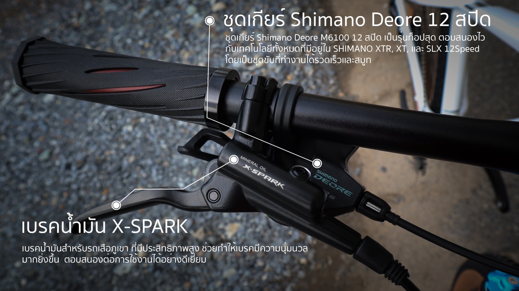 จักรยานเสือภูเขา VISP THUNDER เฟรมอลูท้อป เกียร์ Shimano Deore 1*12สปีด ล้อ 29 นิ้ว ปี 2022