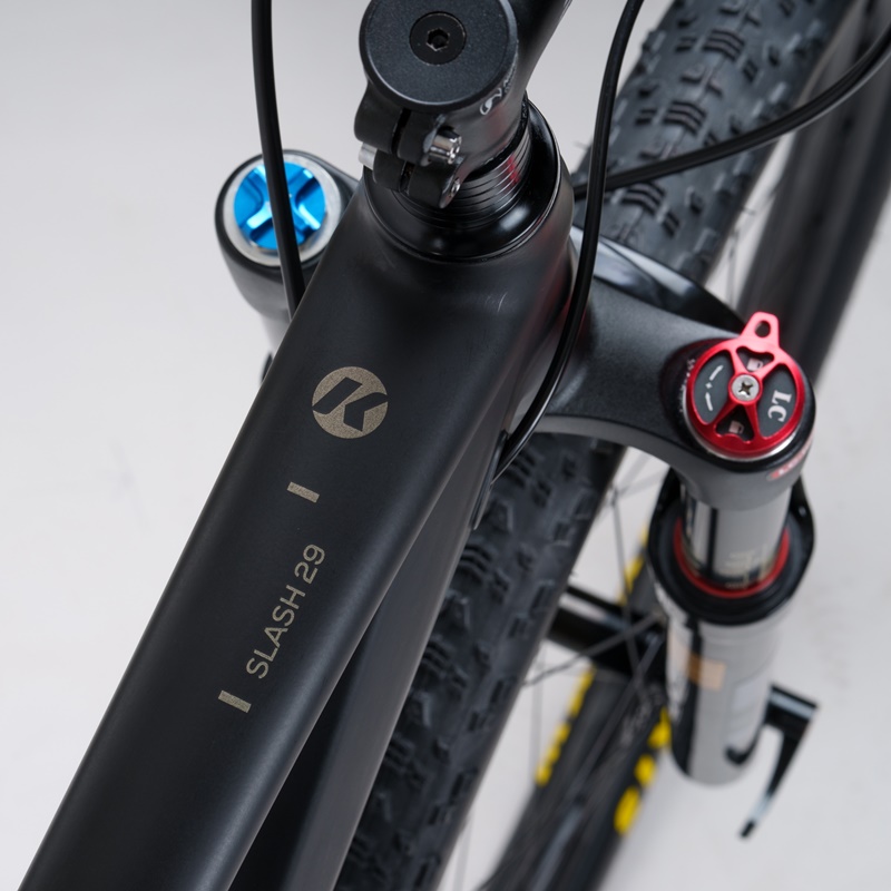จักรยานเสือภูเขา KAZE RACE SLASH 29er STD (standard version) L-TWOO AX 12 speed NEW2025