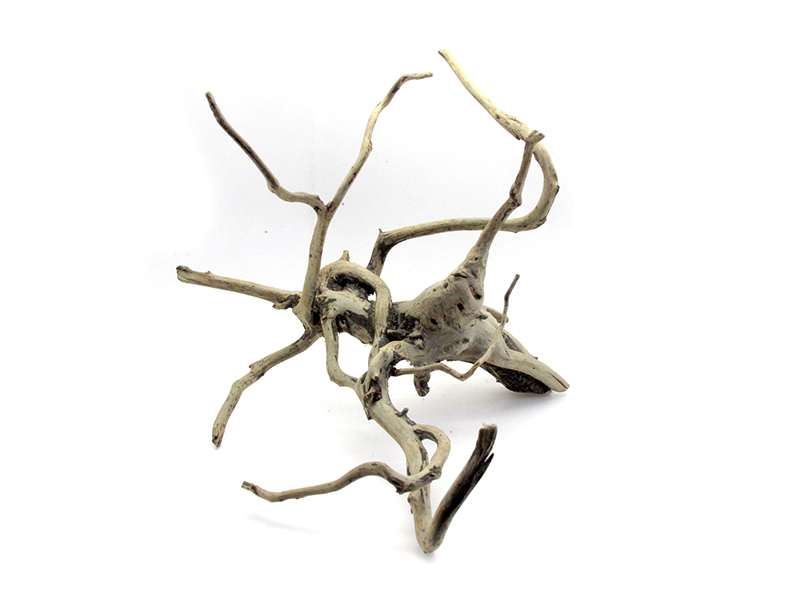 ขอนไม้ตกแต่งตู้ปลาหรือใช้เลี้ยงสัตว์เลื้อยคลาน 080