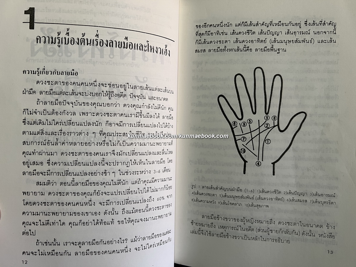 พรางโหงวเฮ้ง ผันลายมือ พลิกโชคชะตาให้ดีขึ้นด้วยตนเอง / จงเหวินซิ่ว เขียน / เซนเซอิชิ แปล