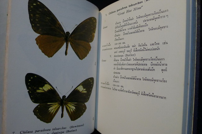 Butter flies in Thailand Vol.1-2 ( ภาษาไทย )