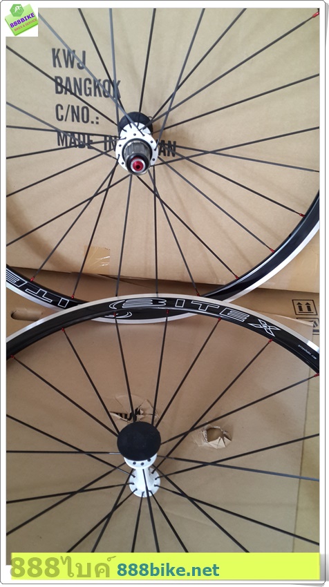 ชุดล้อเสือหมอบ BITEX 700C ALUMINIUM NEW (BEARING) ขอบ 30mm, 20/24H, 2017