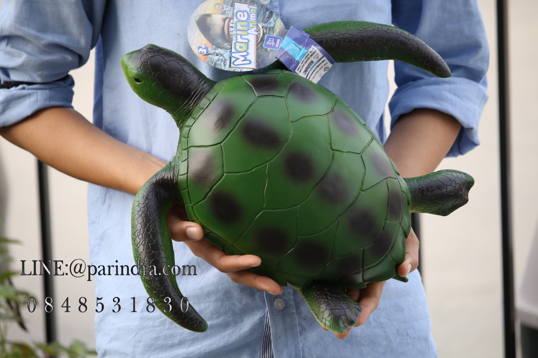โมเดลเต่าทะเลสีเขียว ขนาด 15 นิ้ว ยางอ่อนนุ่มนิ่ม บีบได้
