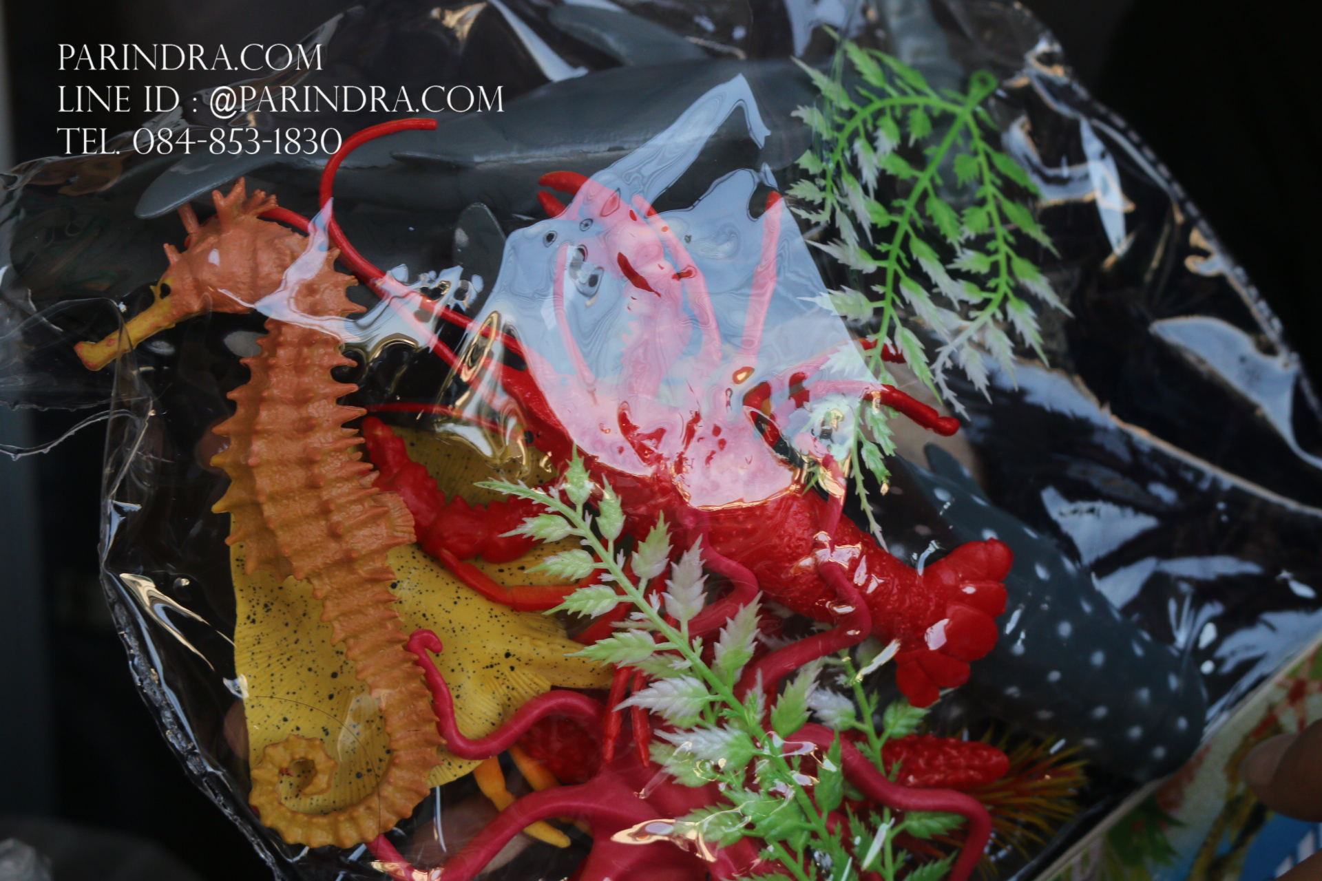 โมเดลสัตว์ทะเล Sea Animal 9 ชนิด