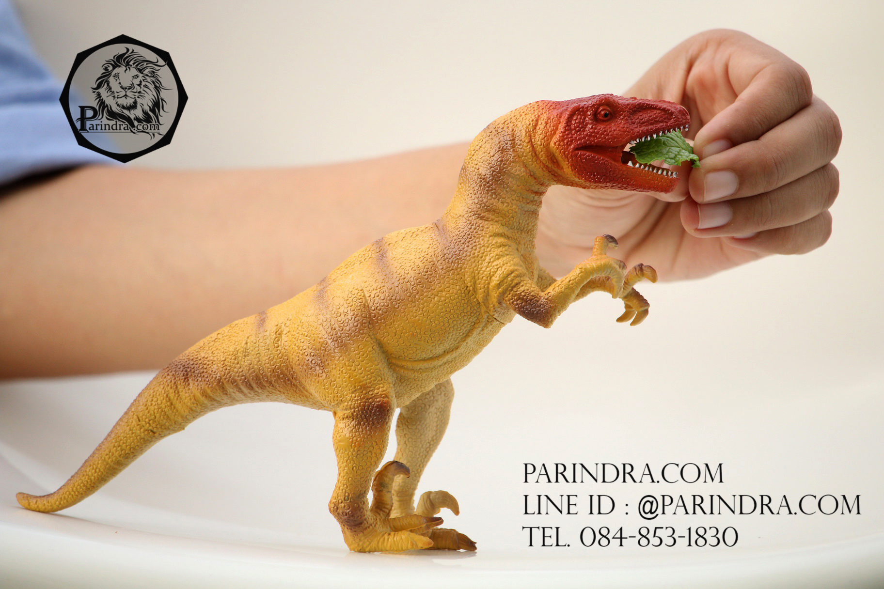 โมเดลไดโนเสาร์ Velociraptor (เวโลซีแรปเตอร์)