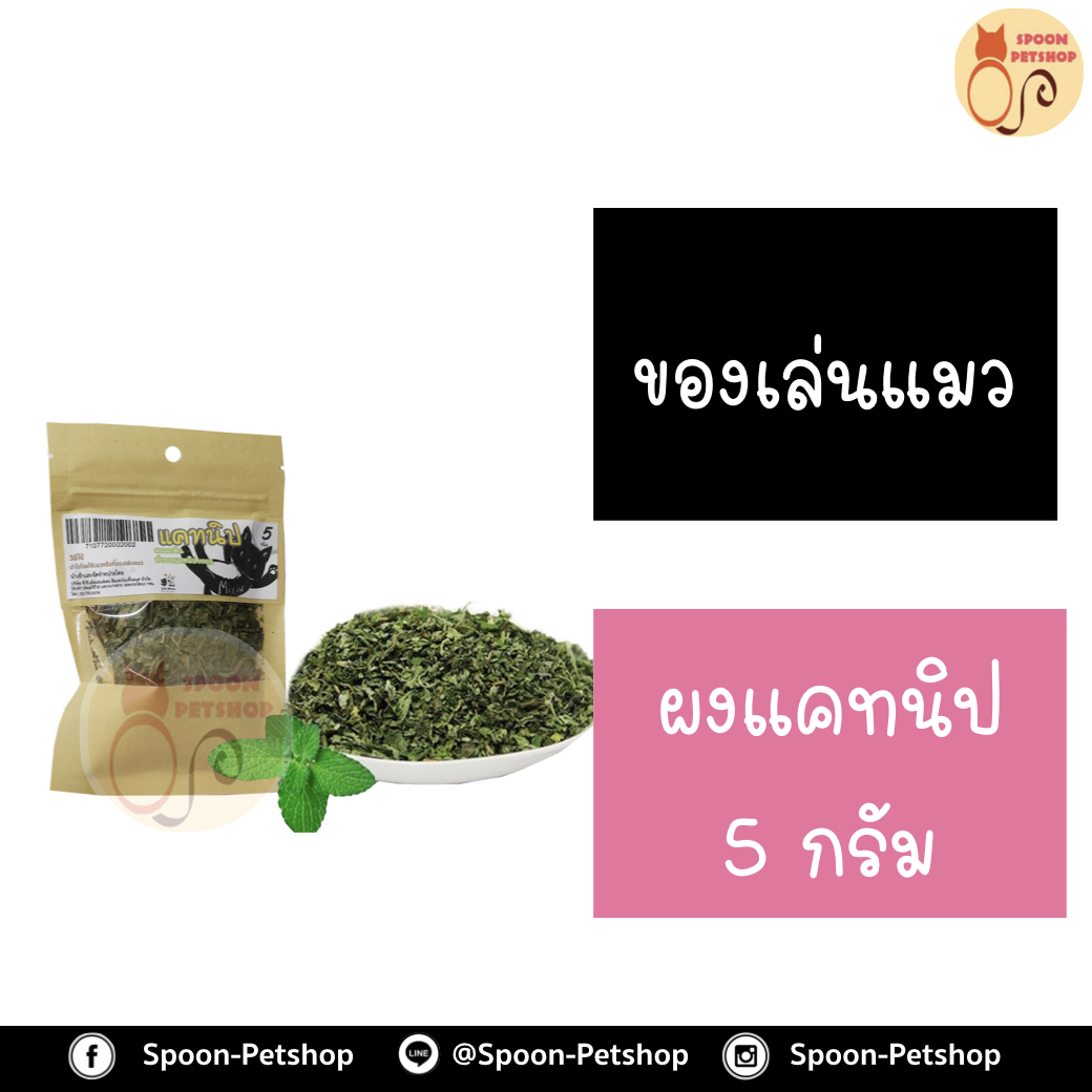 ผงแคทนิป ผงแมวฟิน ปลอดภัยต่อสัตว์เลี้ยง 5g
