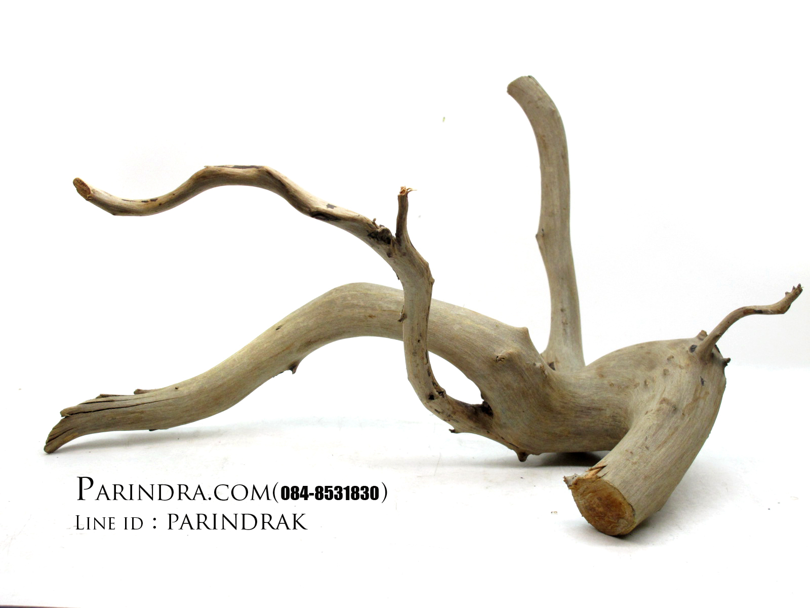 ขอนไม้ตกแต่งตู้ปลาหรือใช้เลี้ยงสัตว์เลื้อยคลาน 003