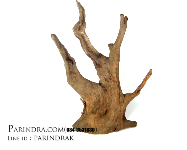 ขอนไม้ตกแต่งตู้ปลาหรือใช้เลี้ยงสัตว์เลื้อยคลาน 006