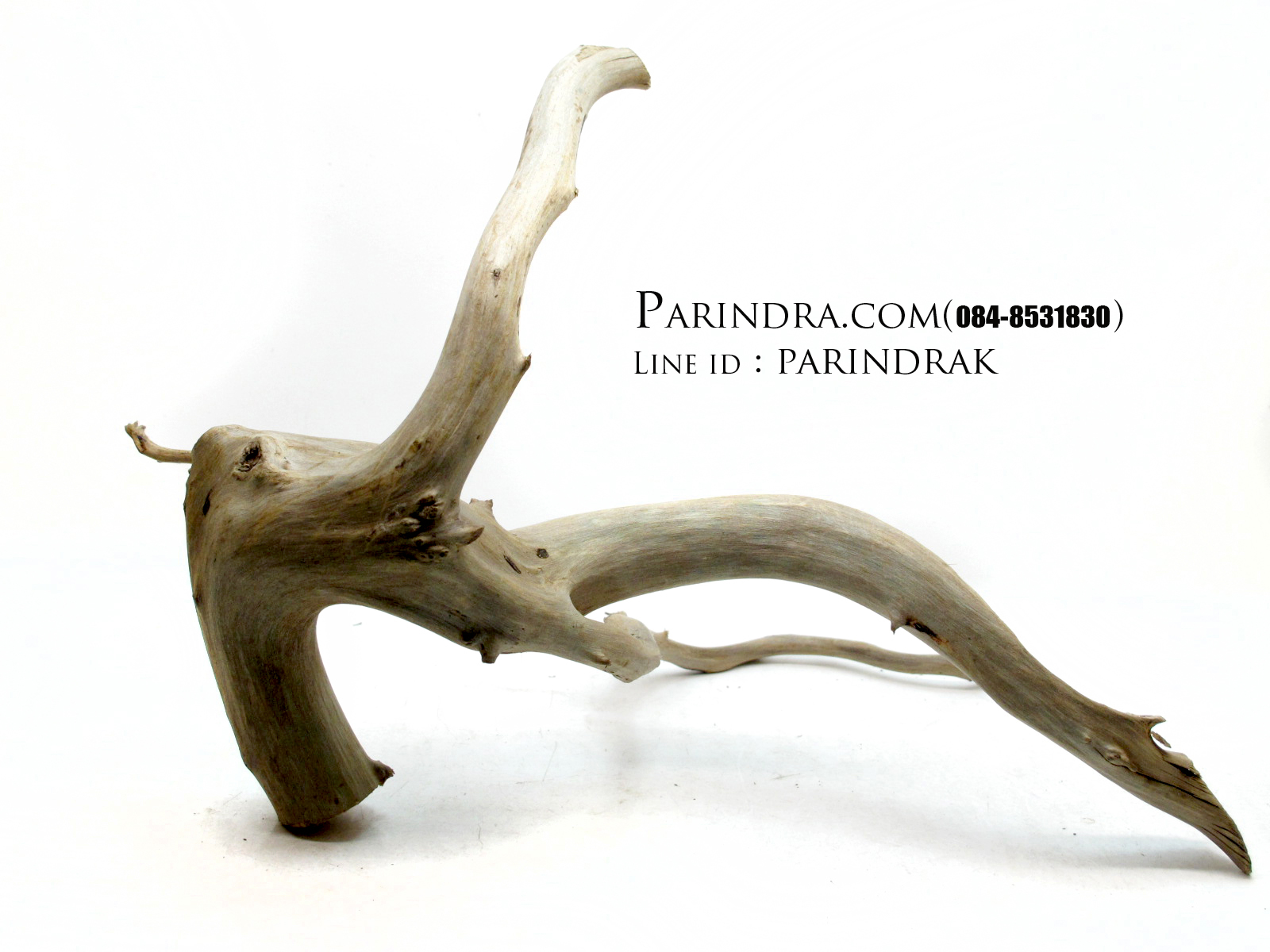 ขอนไม้ตกแต่งตู้ปลาหรือใช้เลี้ยงสัตว์เลื้อยคลาน 003