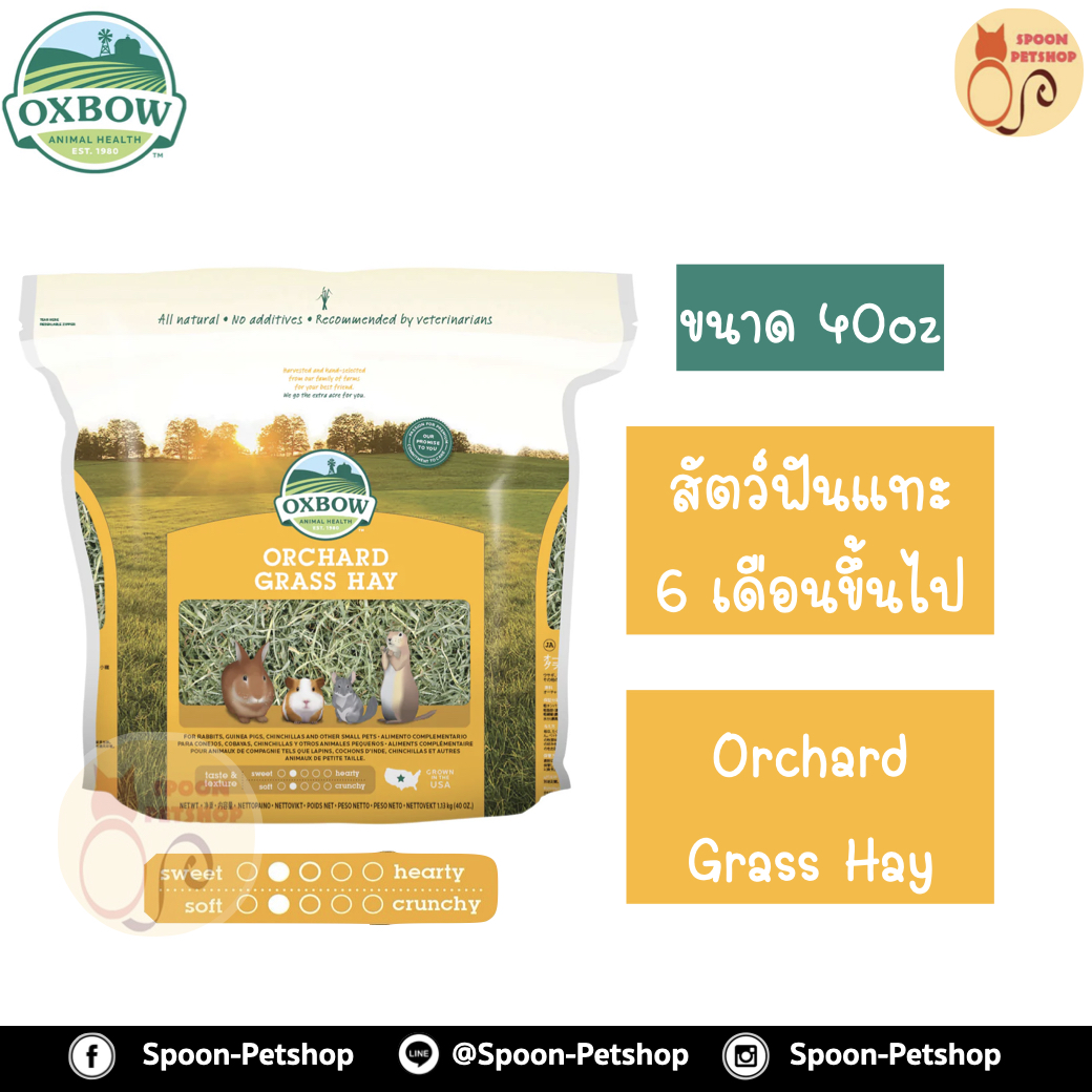 Oxbow Orchard Hay หญ้า อ็อกซ์โบว์ ออชาร์ด สำหรับสัตว์ฟันแทะ กระต่าย กระรอก หนูแฮมสเตอร์ หนูแกสบี้ อายุตั้งแต่ 6 เดือนขึ้นไป ขนาด 40Oz