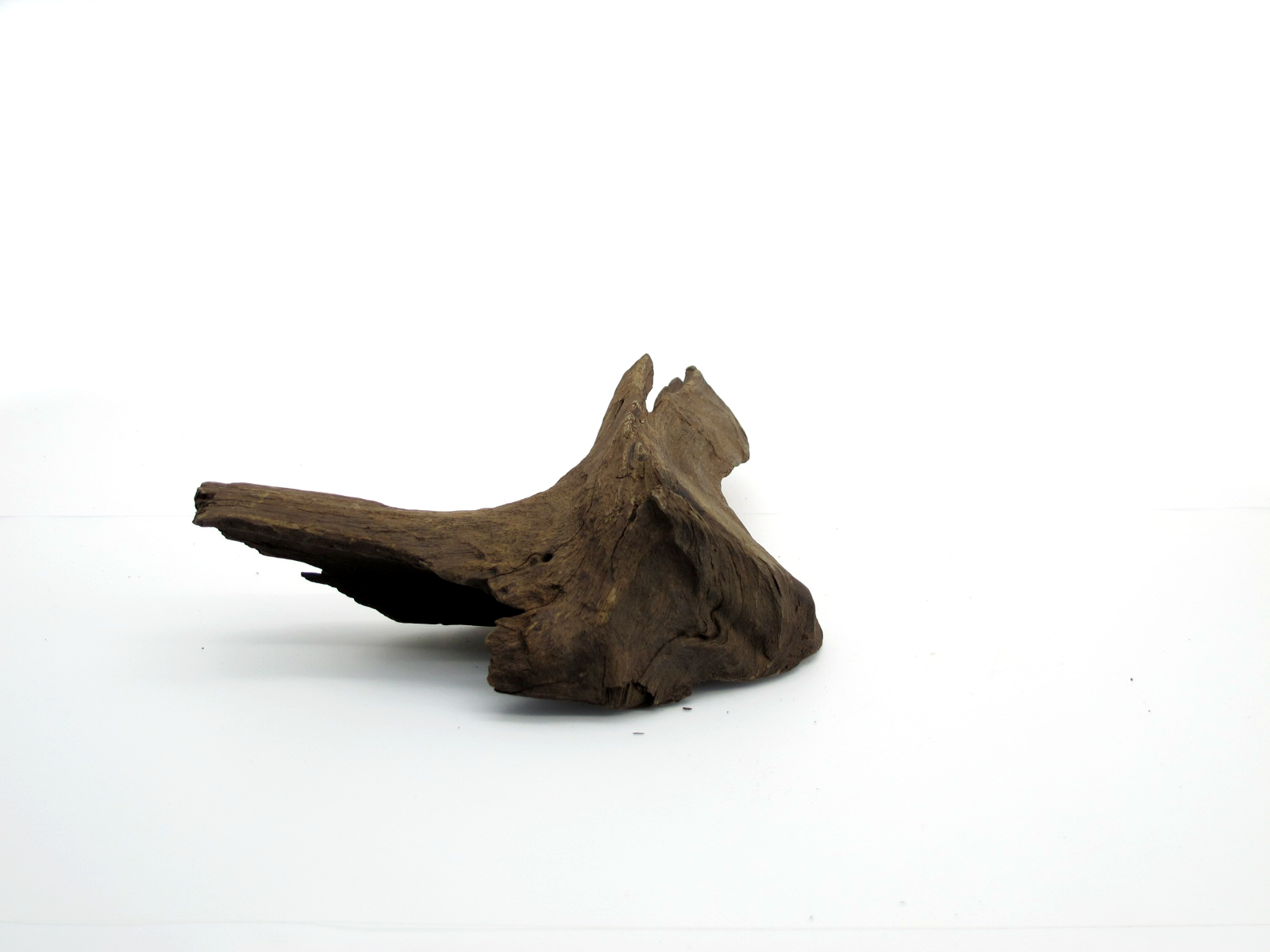 ขอนไม้ตกแต่งตู้ปลาหรือใช้เลี้ยงสัตว์เลื้อยคลาน 062