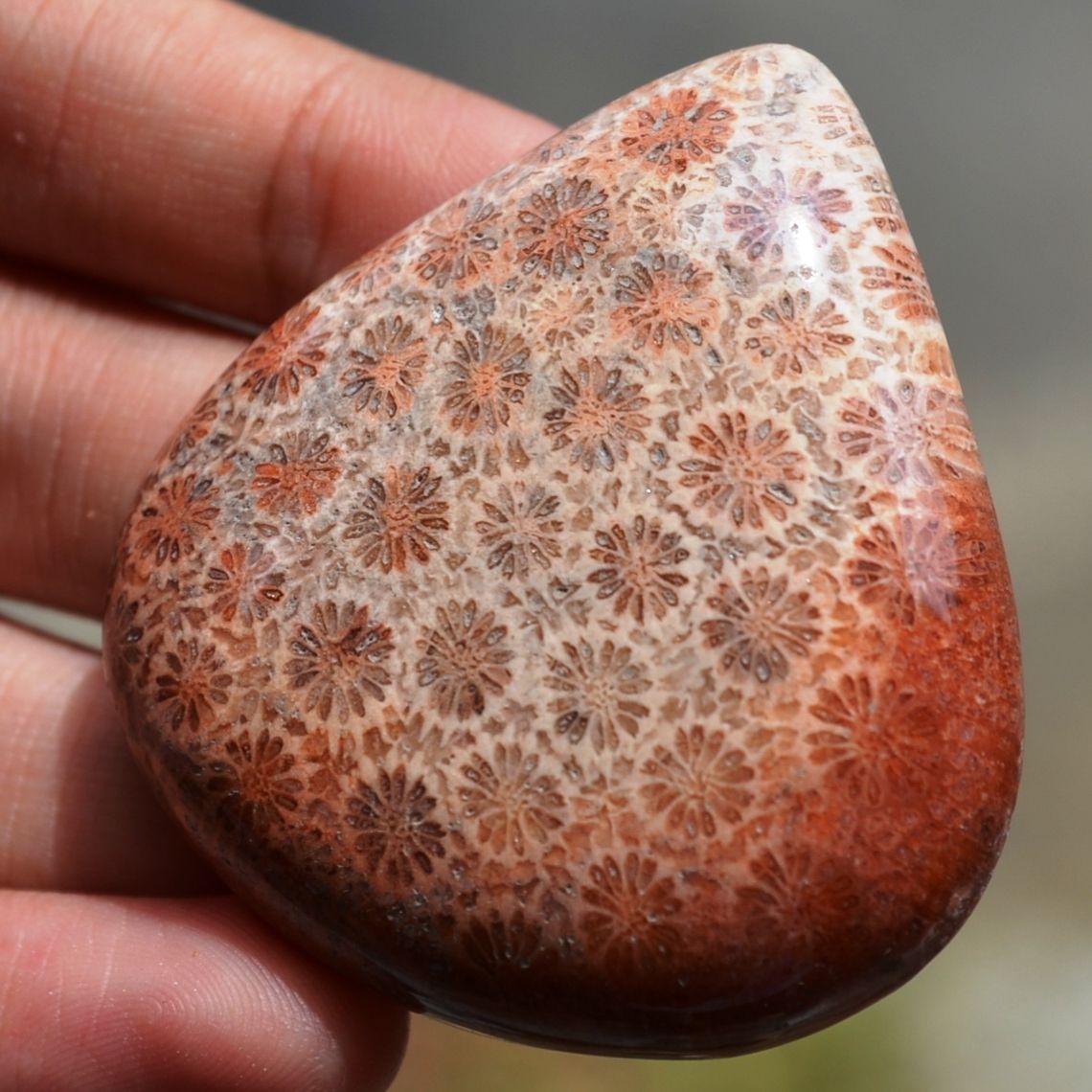 ฟอสซิลหินปะการังขัด Fossil Coral ใหญ่และหนา สำหรับห้อยคอ หรือ พวงกุญแจ คัดสวยพิเศษ #CRF032