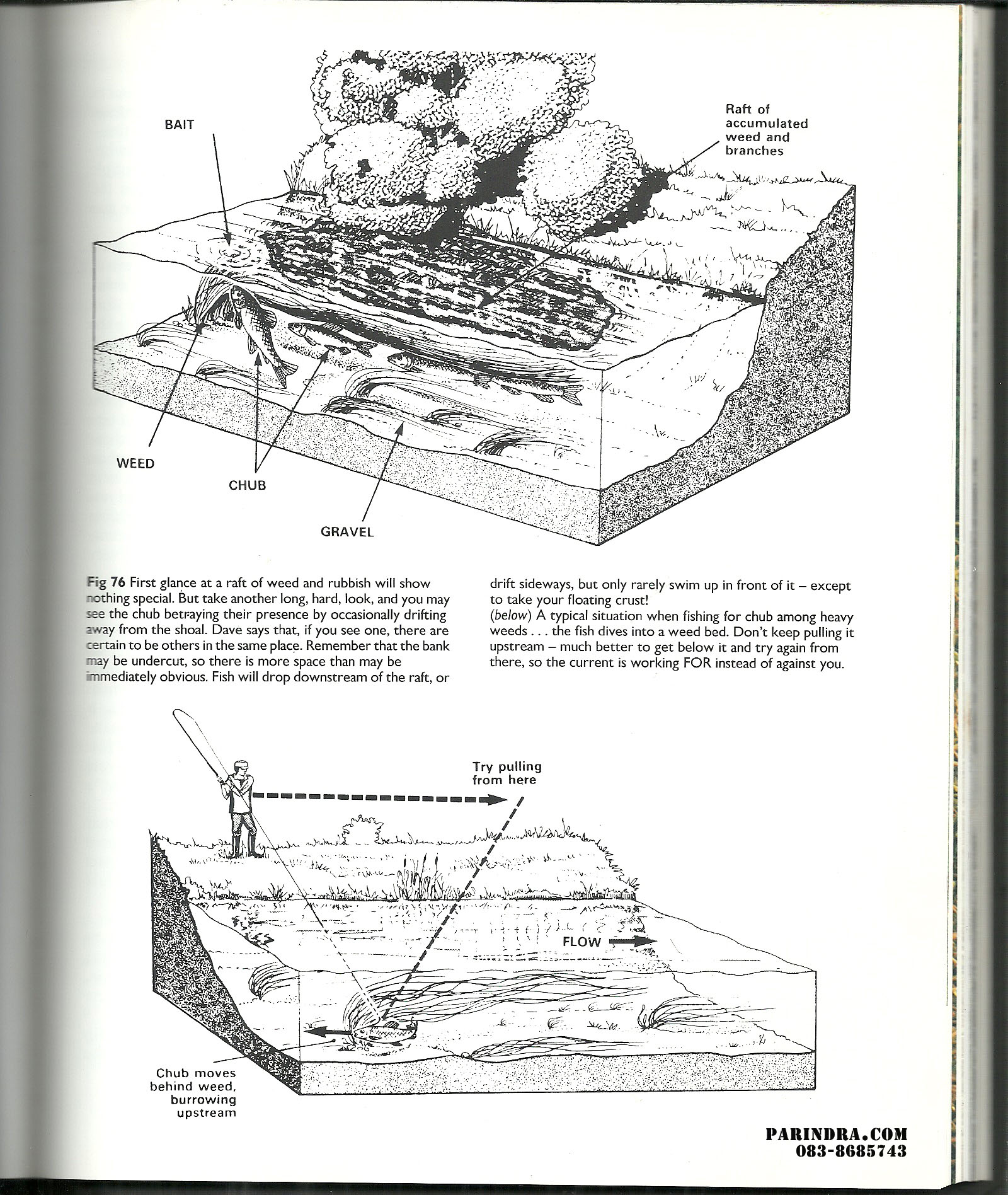 หนังสือคู่มือสอนการตกปลาฉบับภาษาอังกฤษ Book of Coarse Fishing by Alan Haines & Mac Campbell