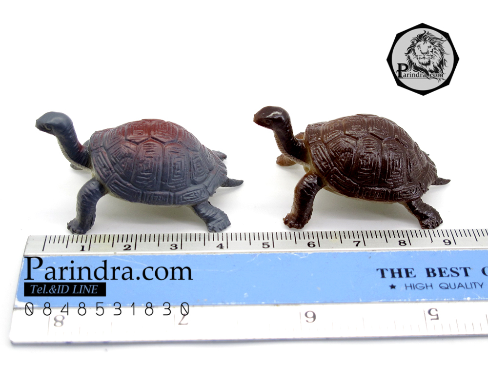 โมเดลเต่ายักษ์กาลาปากอส ชุดคู่สองตัว
