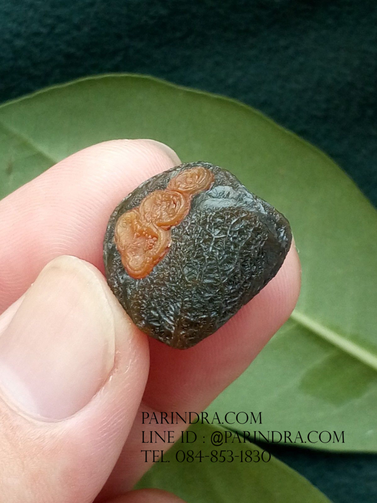 หินรูปทรงประหลาดจากทะเลทรายโกบี GOBI Eye Stone #GOBI004