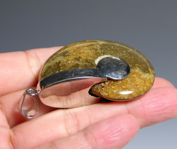 จี้สร้อยคอฟอสซิลหอยแอมโมไนท์ สำหรับห้อยคอ หรือพวงกุญแจ ACC1