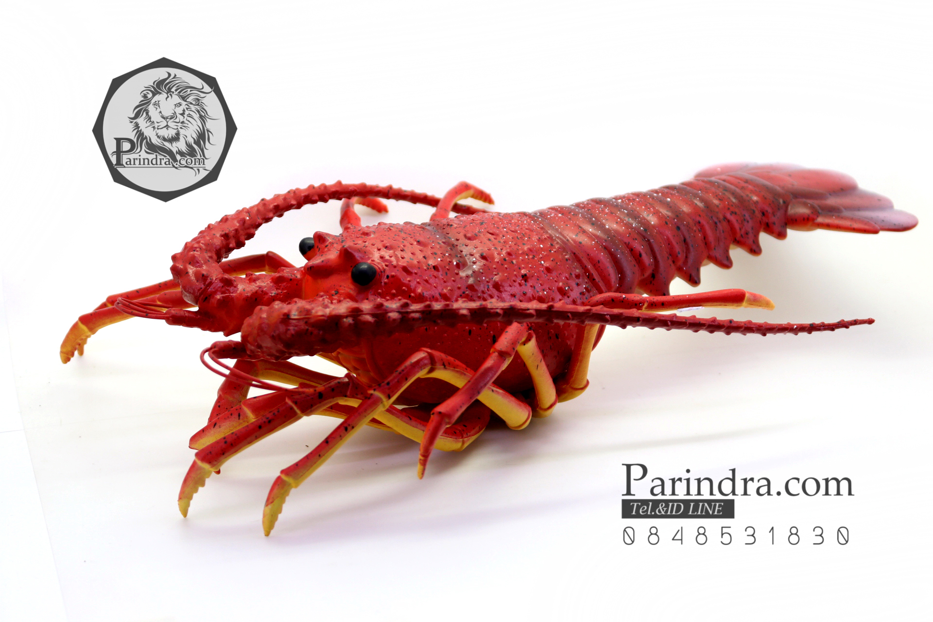 โมเดลกุ้งมังกร Lobster ยักษ์ แบบยางกึ่งอ่อนนุ่มกึ่งแข็ง ตั้งโชว์สวย ขนาดใหญ่ 16 นิ้ว