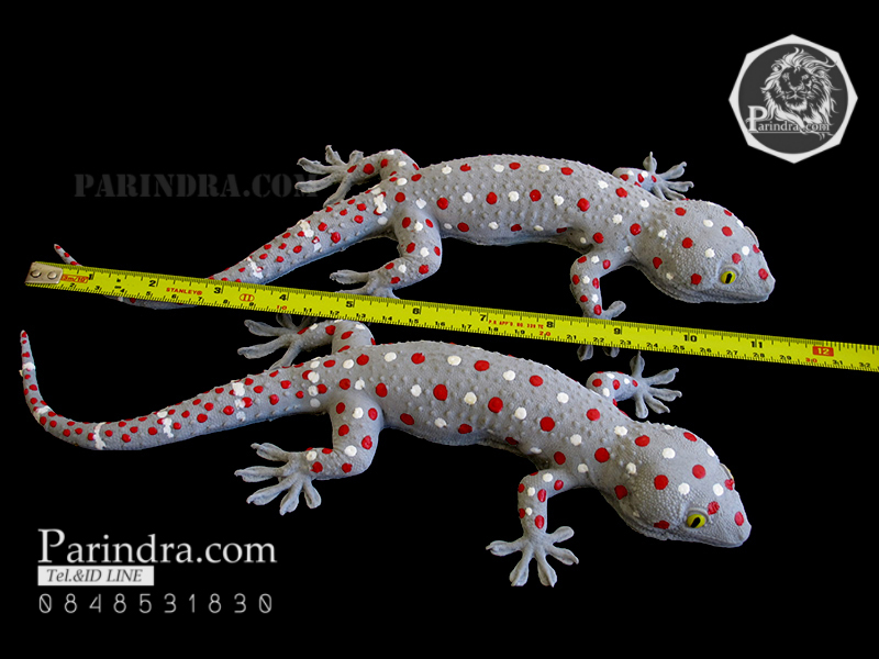 ตุ๊กแกปลอมตัวใหญ่ มาใหม่ เหมือนจริงมาก ขนาด 11 นิ้ว ตัวพ่อ