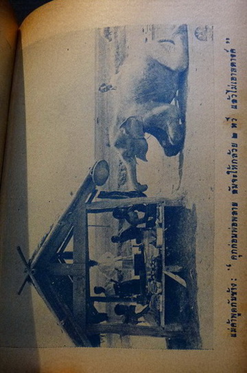 เพลินจิตต์พิเศษเล่ม 12